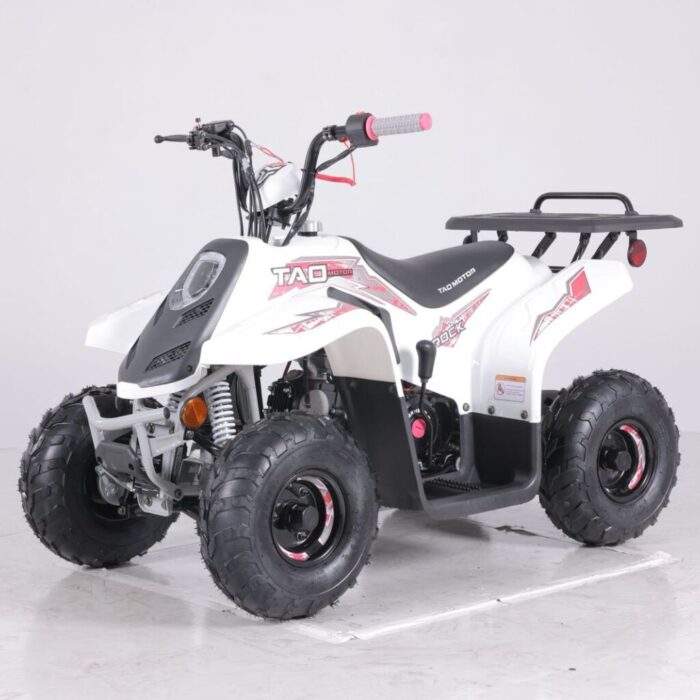 110cc Kids Quad - The Rock