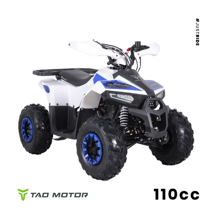 Tao Motor 110cc Mudhawk Off-Road Quad Ages 8-12 years